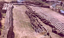 Adobes