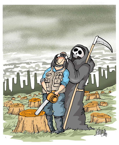 ecologia3.jpg