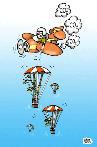 reforestar_y_volar